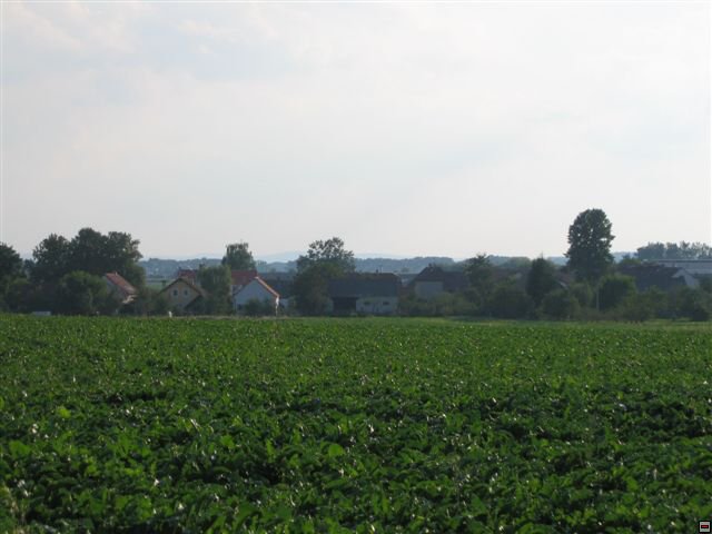 Troubelice 2006 099.jpg